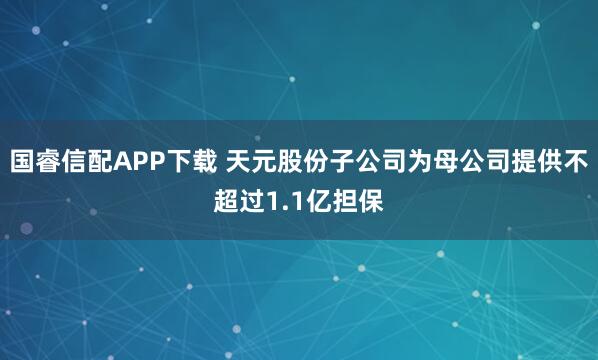 国睿信配APP下载 天元股份子公司为母公司提供不超过1.1亿担保
